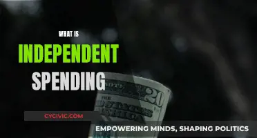 Understanding Independent Spending: What, Why, and How?