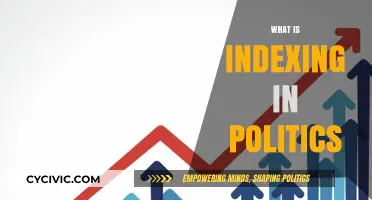 Understanding Political Indexing: How Metrics Shape Policy and Public Perception