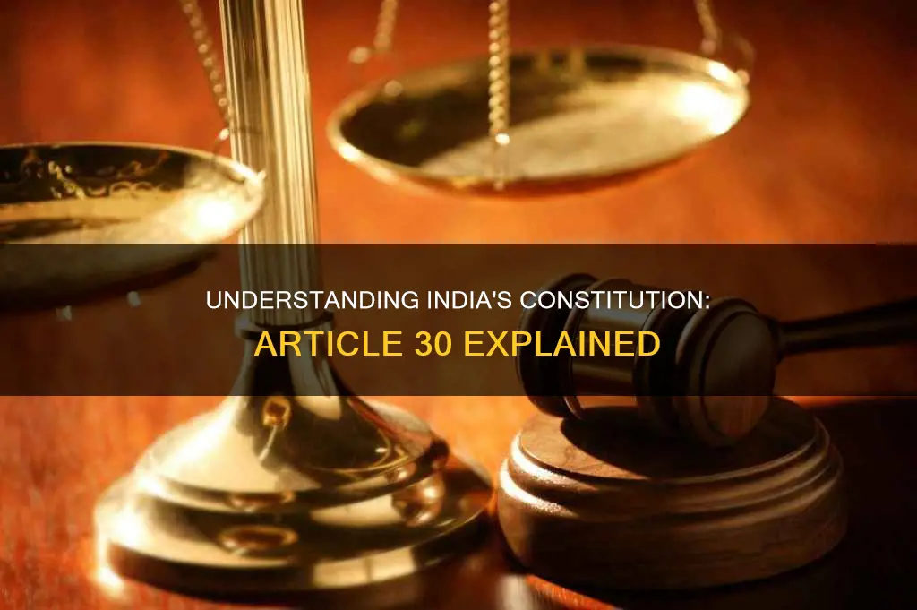 what is indian constitution articale 30