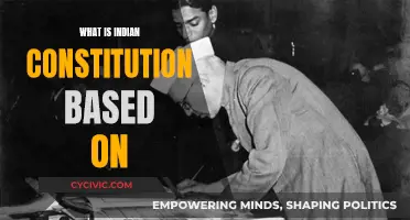 The Indian Constitution: Principles and Influences