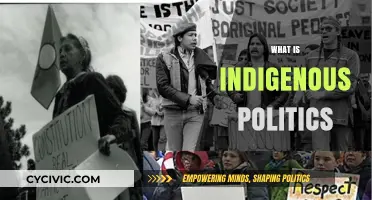 Understanding Indigenous Politics: Power, Resistance, and Self-Determination Explained