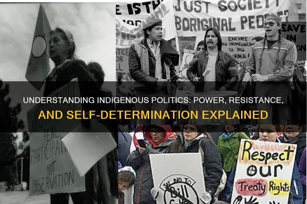 what is indigenous politics