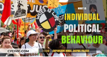 Understanding Individual Political Behavior: Motivations, Actions, and Impact
