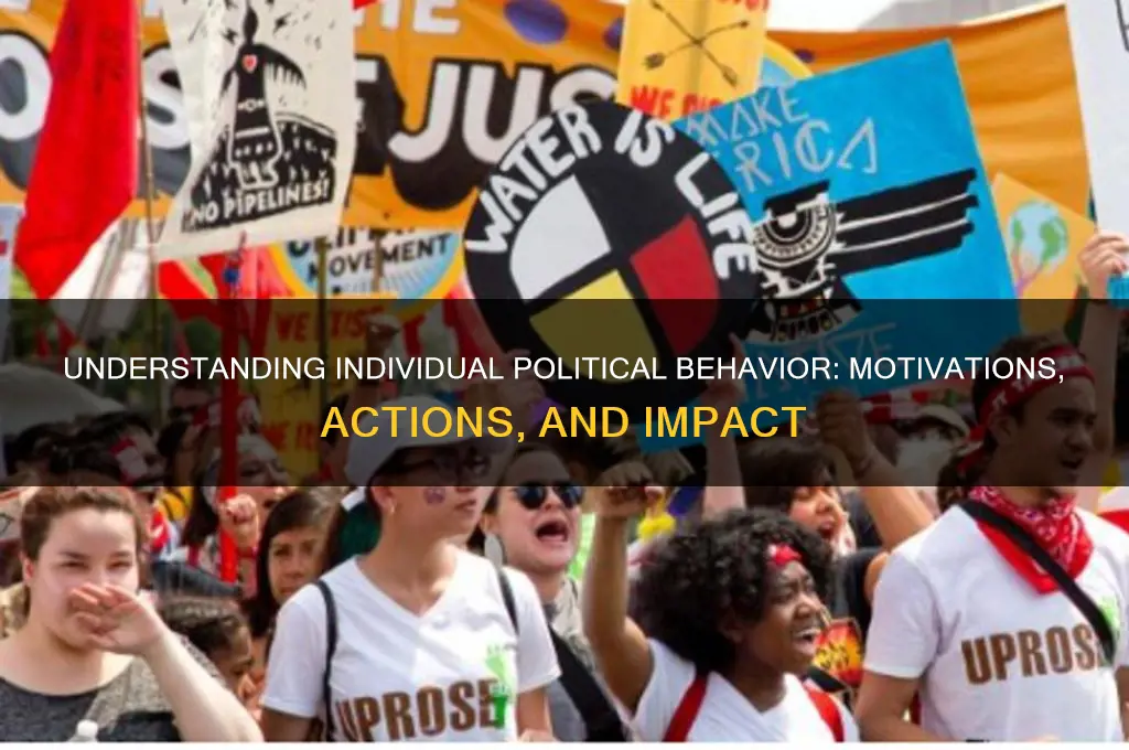 what is individual political behaviour