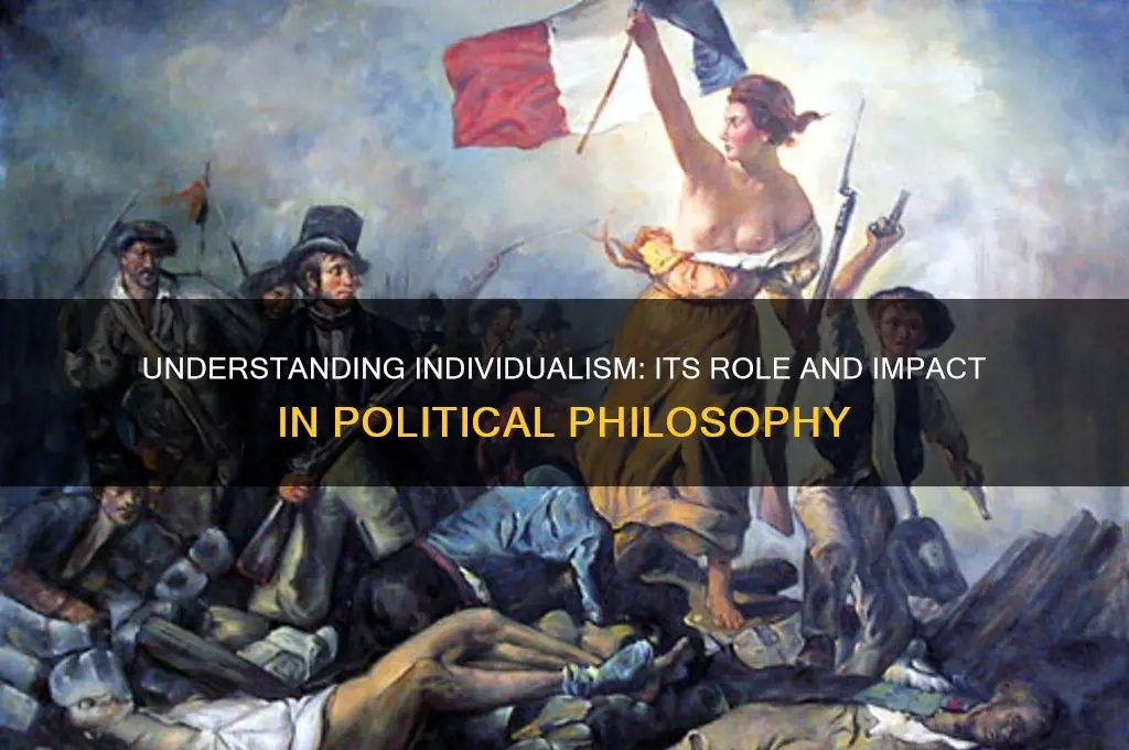 what is individualism in politics