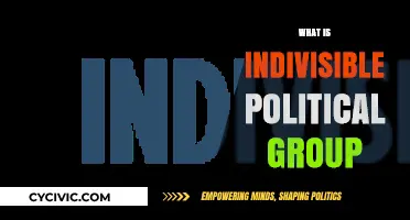 Understanding the Indivisible Political Group: Origins, Goals, and Impact