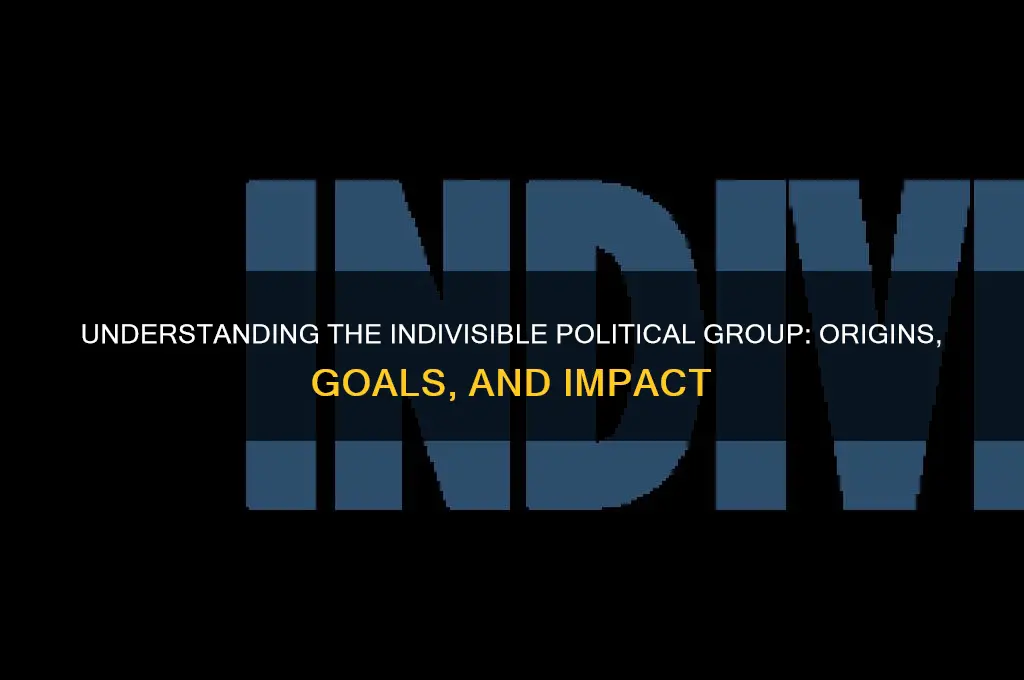 what is indivisible political group