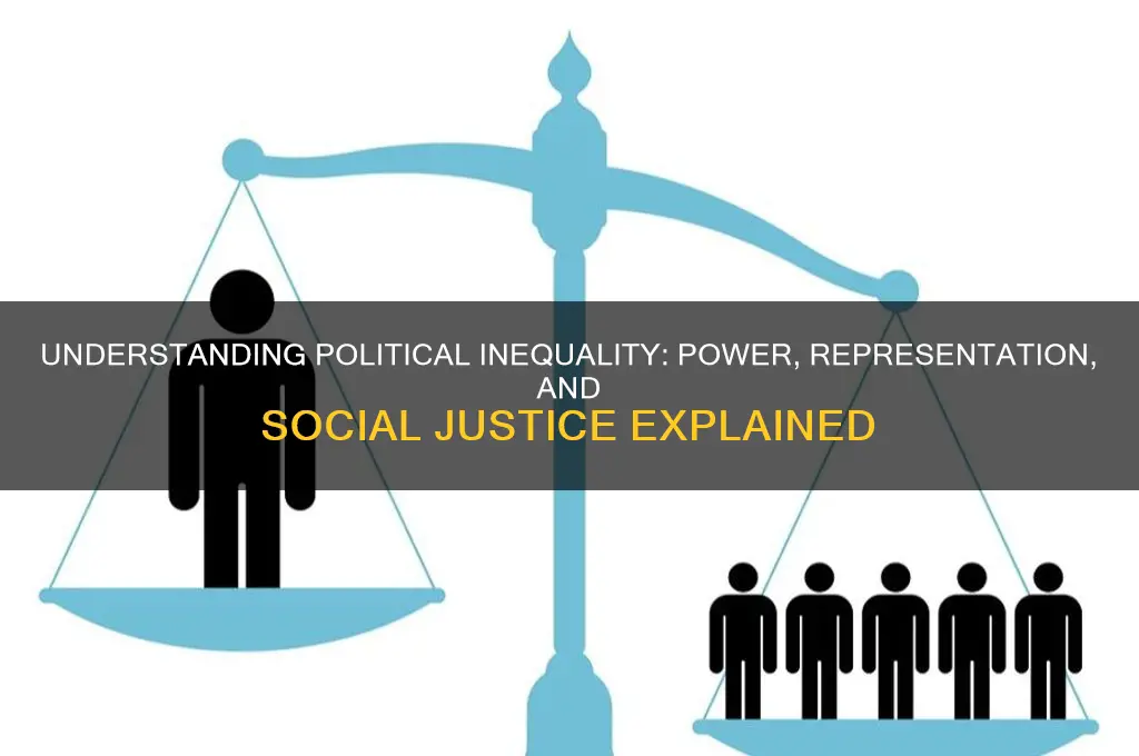 what is inequality in politics