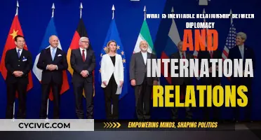The Intricate Web of Diplomacy in International Relations