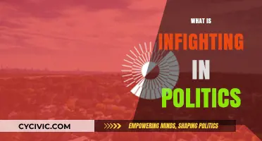 Understanding Political Infighting: Causes, Consequences, and Impact on Governance