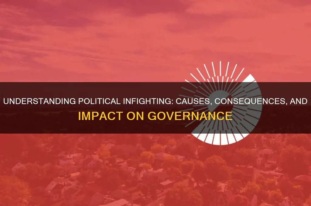 what is infighting in politics