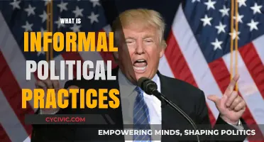 Understanding Informal Political Practices: Unwritten Rules Shaping Power Dynamics