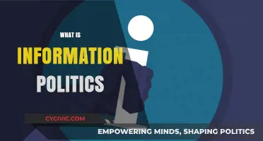 Understanding Information Politics: Power, Control, and Data in Modern Society