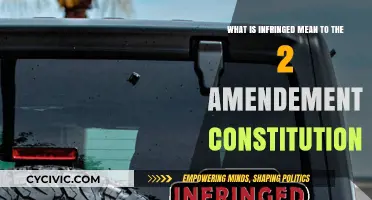 Understanding the Limits of the Second Amendment