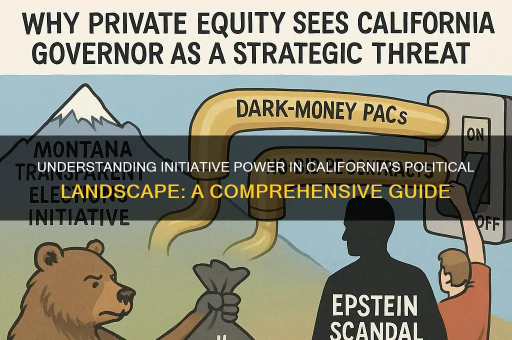 what is initiative california politics