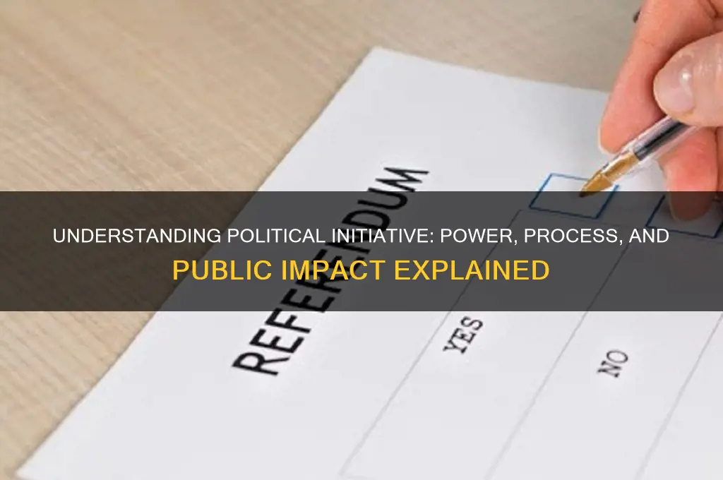 what is initiative in politics