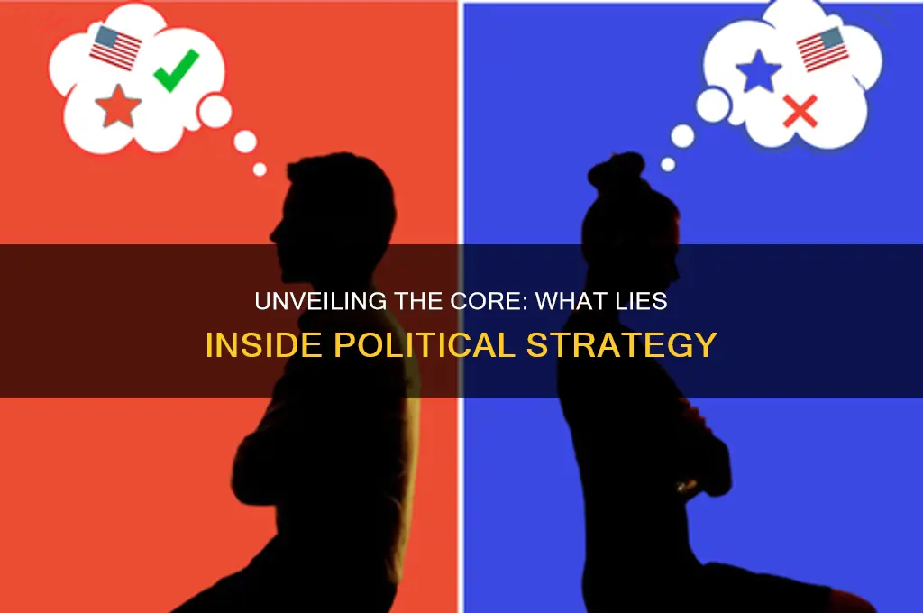 what is inside political strategy