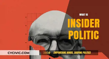 Understanding Insider Politics: Power, Influence, and Decision-Making Explained