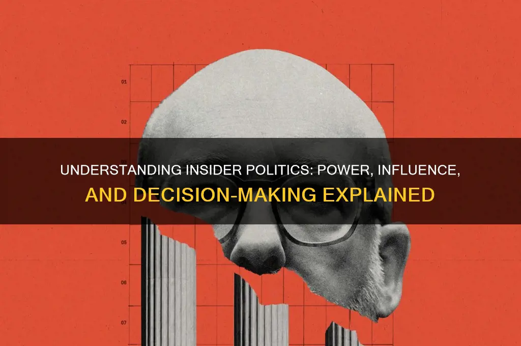 what is insider politic