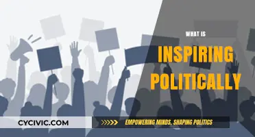 What Inspires Political Action: Exploring the Catalysts for Change