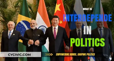 Understanding Interdependence: How Political Systems Rely on Global Cooperation