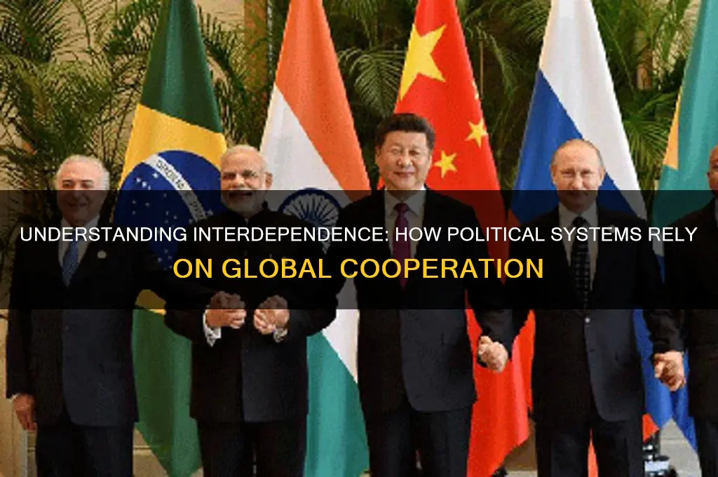 what is interdependence in politics