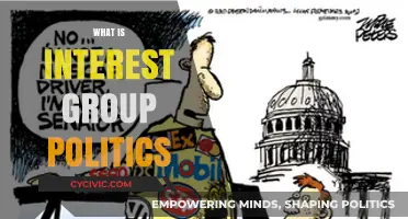 Understanding Interest Group Politics: Power, Influence, and Policy Shaping