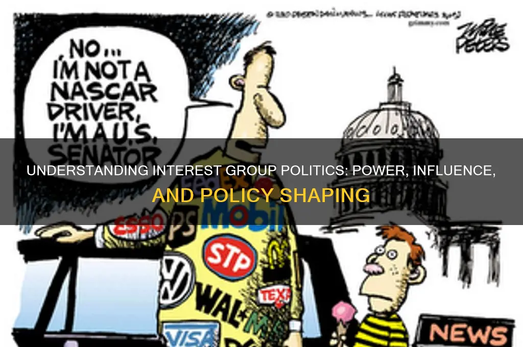 what is interest group politics