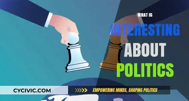 Unveiling the Intriguing World of Politics: Power, People, and Passions