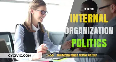 Understanding Internal Organizational Politics: Dynamics, Impact, and Strategies for Success