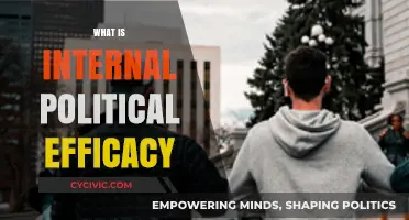 Understanding Internal Political Efficacy: Empowering Citizen Engagement in Democracy