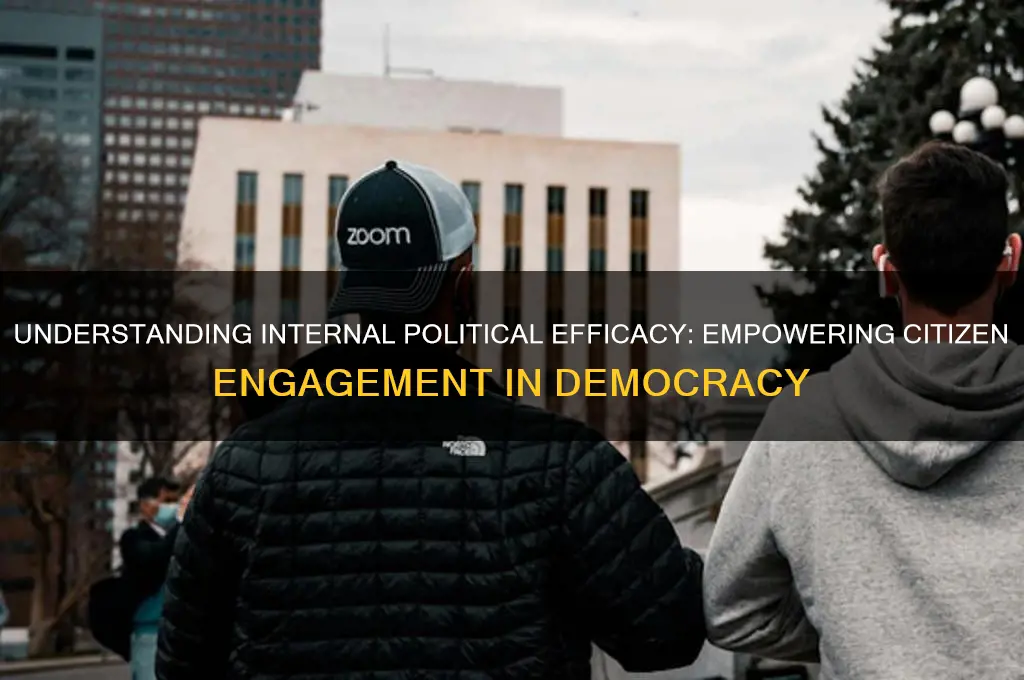 what is internal political efficacy