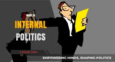 Understanding Internal Politics: Navigating Workplace Dynamics and Power Structures