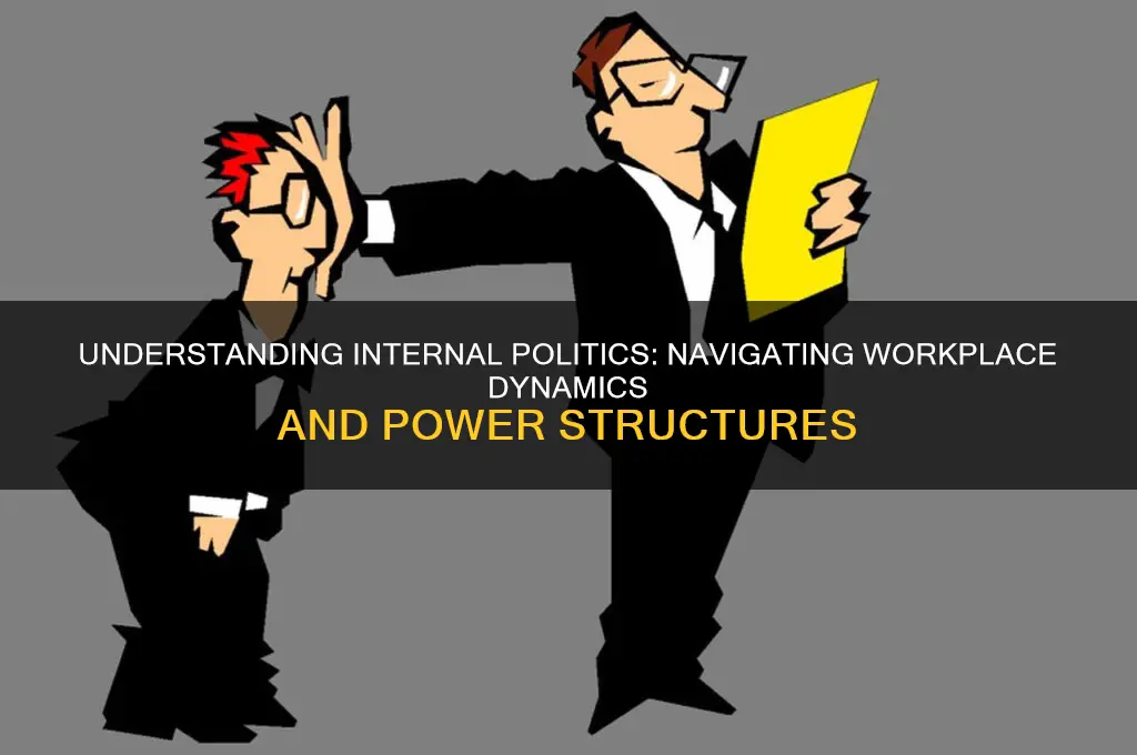 what is internal politics