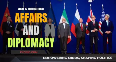 Exploring the Intricacies of Diplomacy in International Affairs