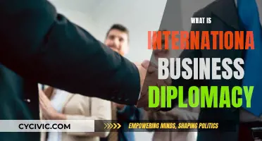 Business Diplomacy: International Relations and Their Impact
