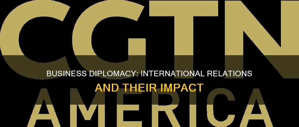 what is international business diplomacy