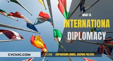 Diplomacy's Role in Global Affairs Explained