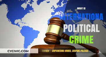 Understanding International Political Crime: Definitions, Examples, and Global Implications