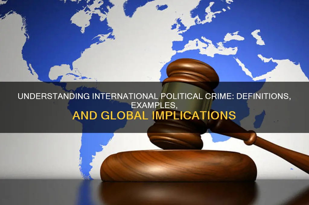 what is international political crime