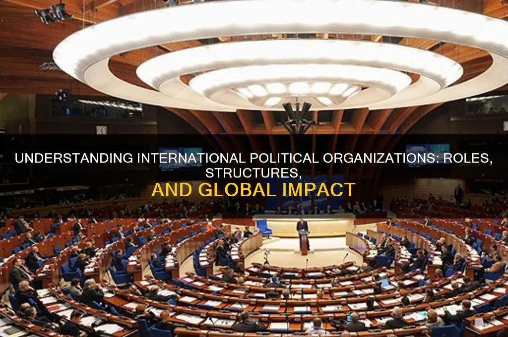 what is international political organization