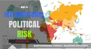 Understanding International Political Risk: Global Implications and Strategic Mitigation