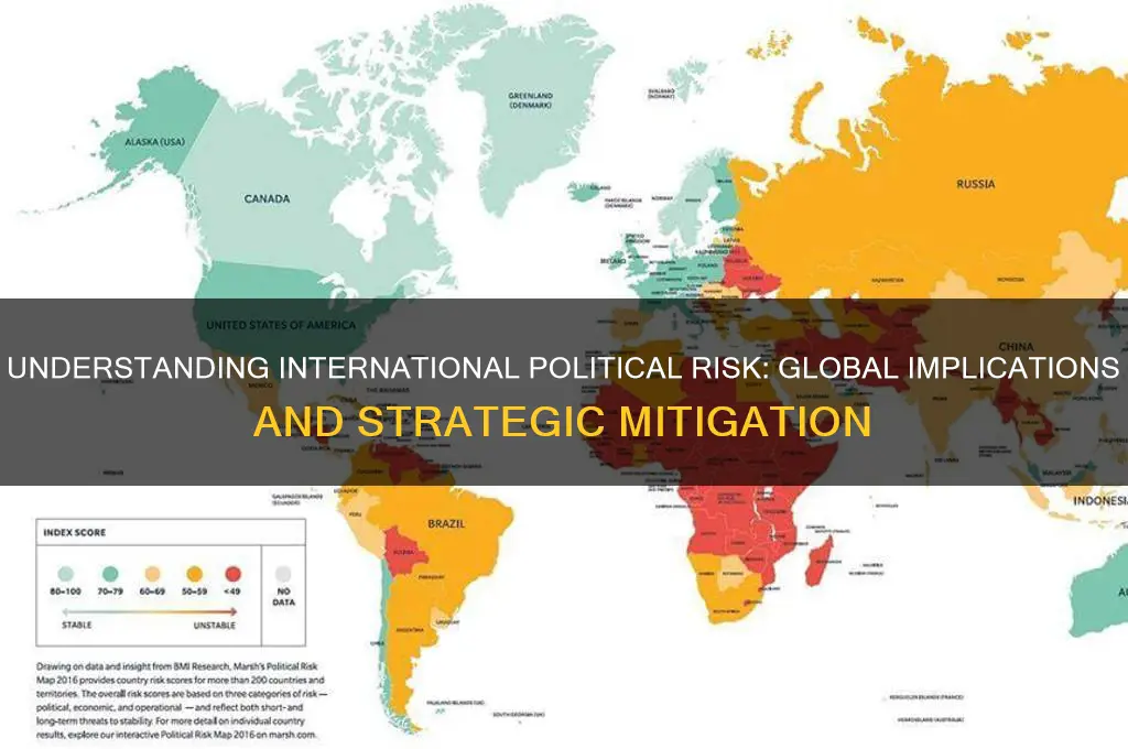 what is international political risk