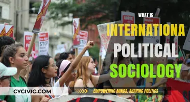 Exploring International Political Sociology: Power, Globalization, and Social Dynamics