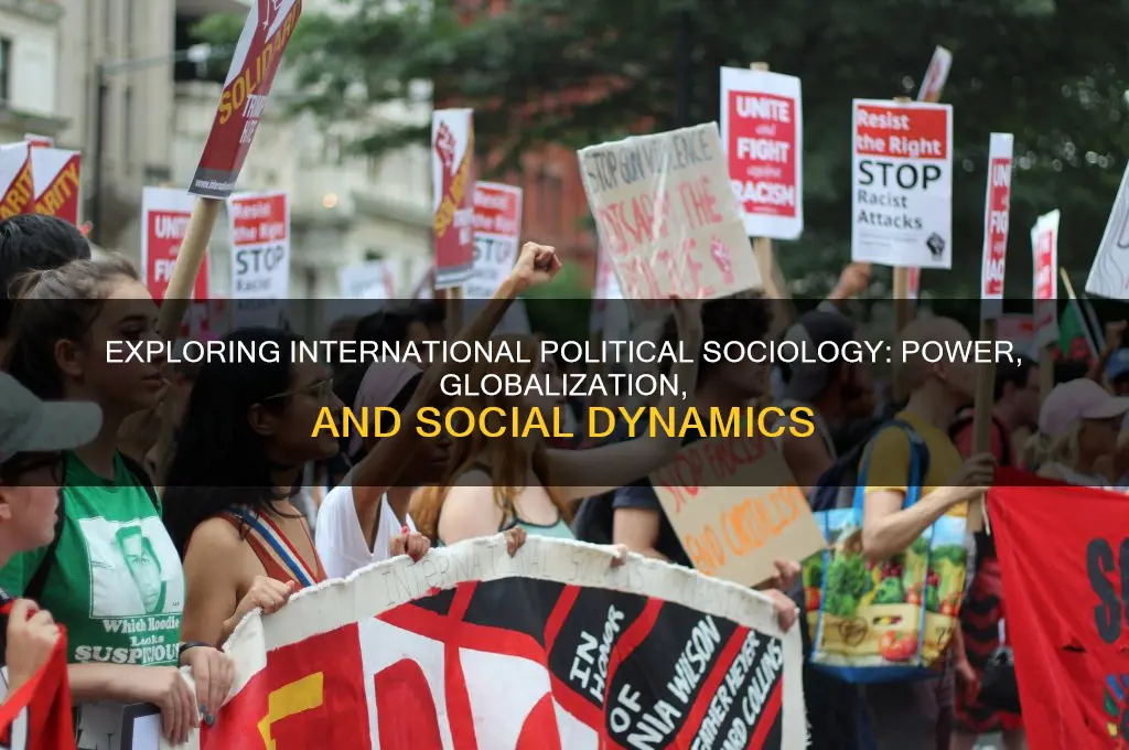 what is international political sociology