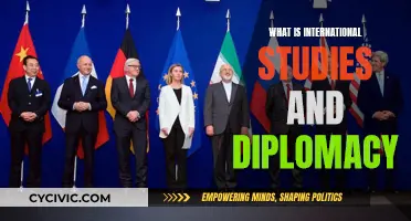 International Studies and Diplomacy: A Worldly Academic Pursuit