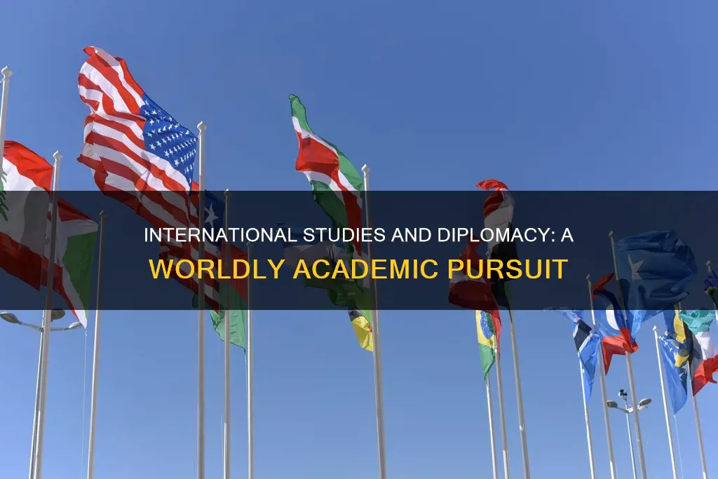 what is international studies and diplomacy
