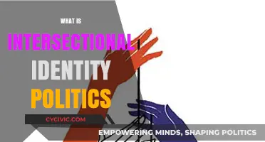 Understanding Intersectional Identity Politics: Race, Gender, and Beyond Explained