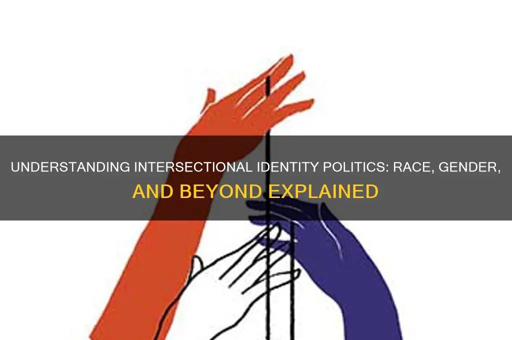 what is intersectional identity politics