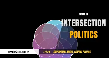 Understanding Intersectional Politics: Identity, Power, and Social Justice Explained